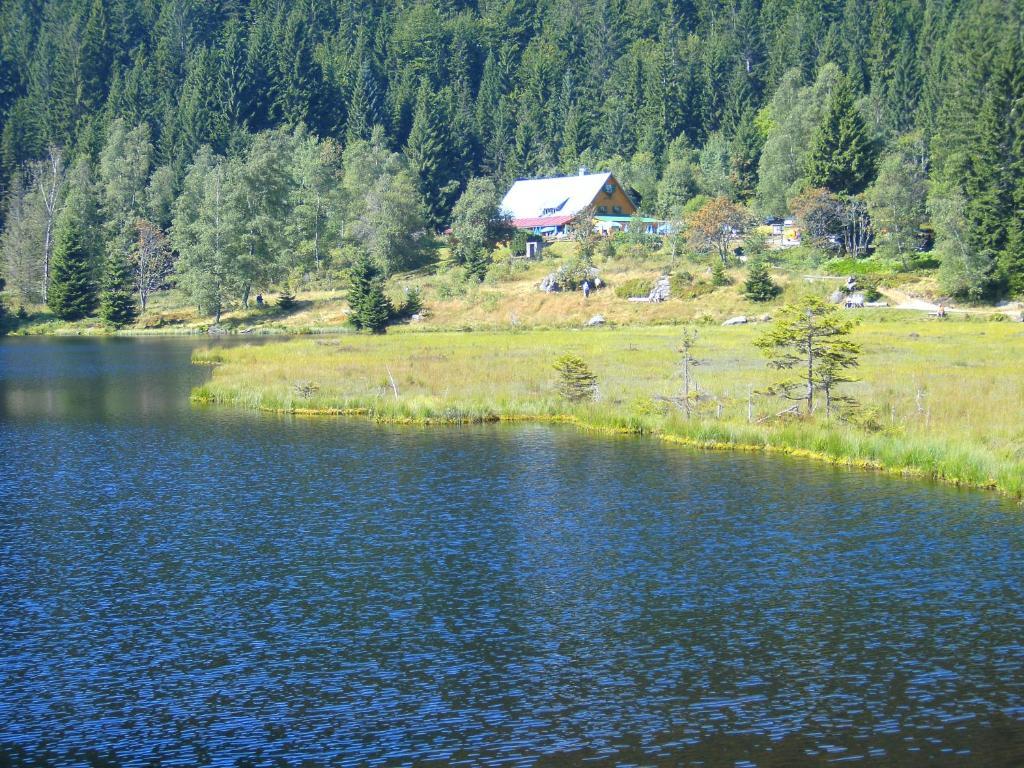 Pension Reindlhoeh Lohberg Exterior photo